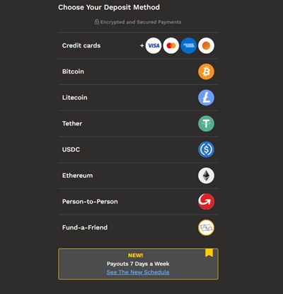 Bitcoin and other deposit options at Bookmaker.eu
